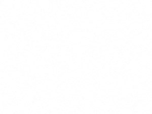 A1